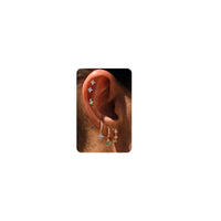6 Pcs Sterling Silver Post Gold Plated Earrings for Women - Hypoallergenic Ivy Cartilage Earrings for Women Dainty 14K Gold Plated Earring Sets for Multiple Piercing