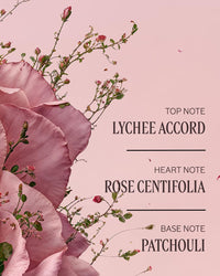 L'Occitane Rose Hand Cream 5.20 oz