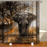 Shocur Grey Elephant Shower Curtain, Tropical African Large Wild Animal and Fall Sunset Forest Trees Scenery, 72 x 72 Inches Polyester Fabric Bathroom Decor Set with 12 Hooks