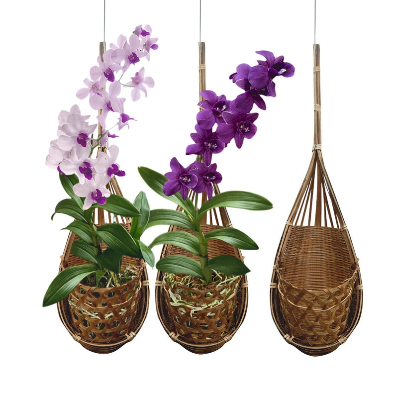 PANWA Handmade 100% Thai Bamboo Hanging Orchid Basket – 4 Inch Set of 3