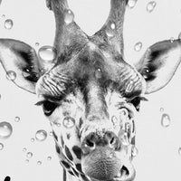 Hajmsug Funny Giraffe Get Naked Shower Curtain for Bathroom, Cute Animal Wildlife Safari Decor Bathtub Fabric Curtain, Waterproof Polyester Shower Curtain Sets with Hooks, 69 x 70