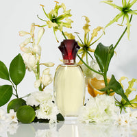 Paul Sebastian Design Perfume for Women, Day & Night Soft Floral Fragrance Spray, 3.4 fl oz