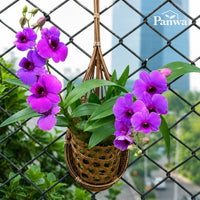 PANWA Handmade 100% Thai Bamboo Hanging Orchid Basket – 4 Inch Set of 3